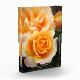 Bloque Para Fotos Rosa ‘Manyo’：Photo Block