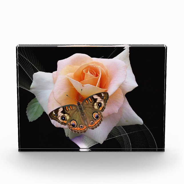 Bloque Para Fotos Rosa y mariposa (Anverso)