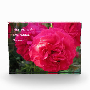 Bloque Para Fotos Rosas rosados calientes - Día personalizado de la