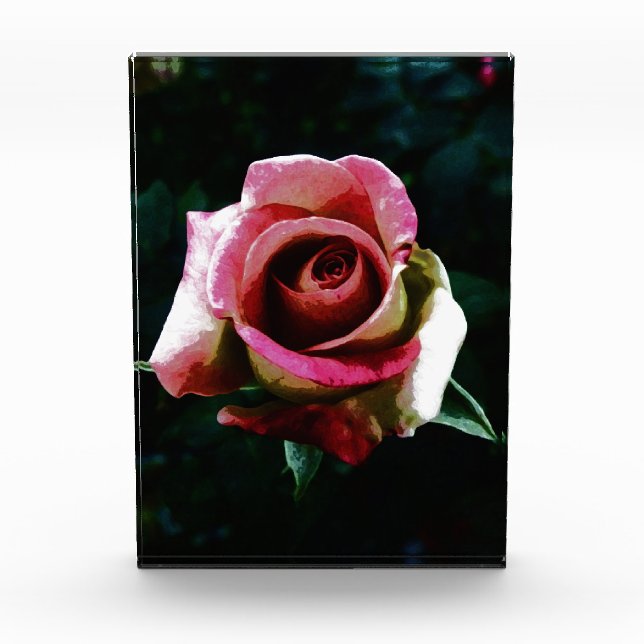 Bloque Para Fotos rose   (Anverso)