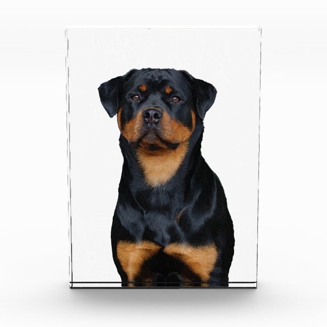 Bloque Para Fotos Rottweiler   (Anverso)