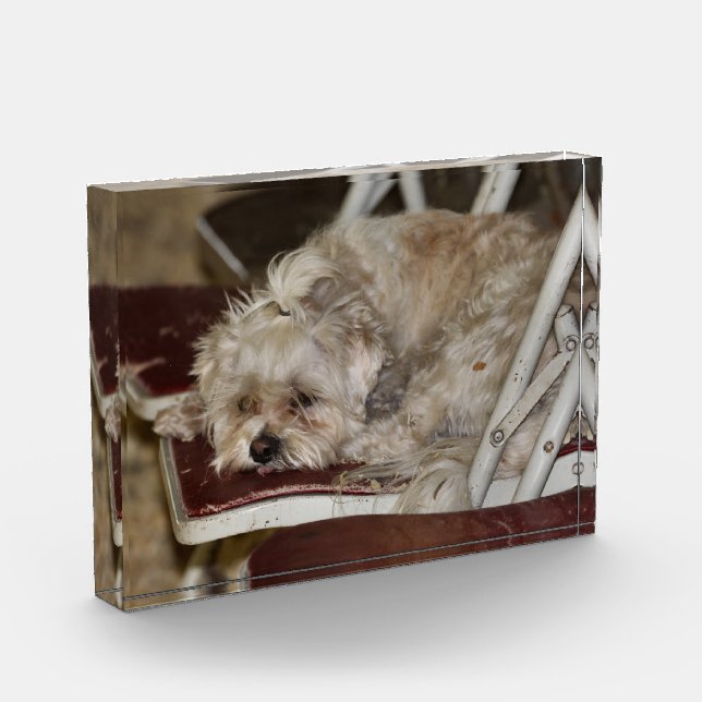 Bloque Para Fotos Rumor (Izquierda)