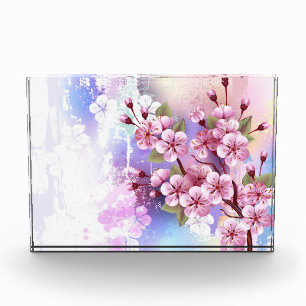 Bloque Para Fotos Sakura rosa sobre fondo de pintura