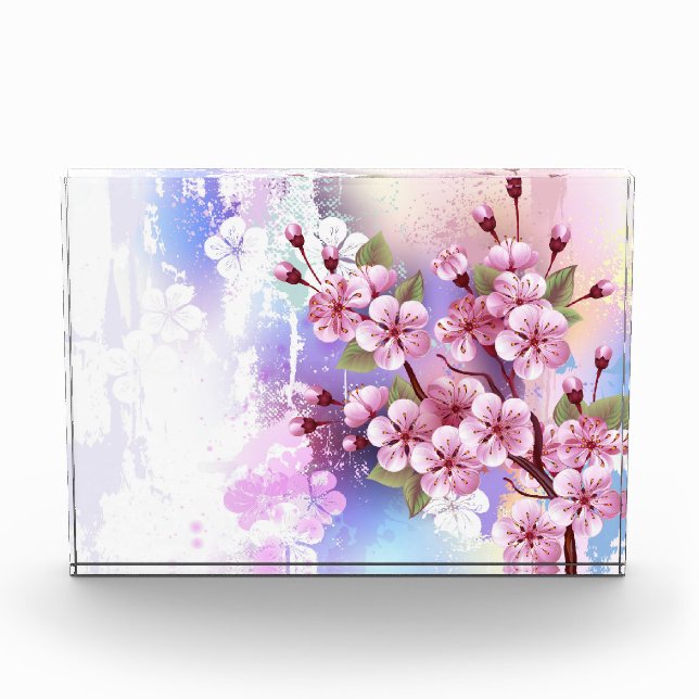 Bloque Para Fotos Sakura rosa sobre fondo de pintura (Anverso)