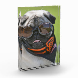 Bloque Para Fotos San Francisco Pug