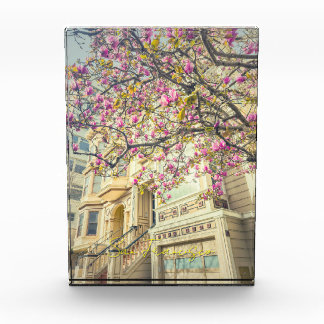 Bloque Para Fotos San Francisco Spring with Magnolia Blossoms