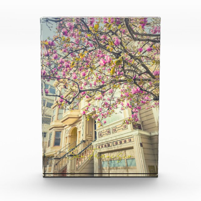 Bloque Para Fotos San Francisco Spring with Magnolia Blossoms (Anverso)