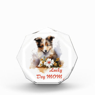 Bloque Para Fotos Shetland Sheepdog Puppy Mascota Flor acuática