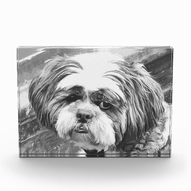 BLOQUE PARA FOTOS SHIH TZU DOG (Anverso)