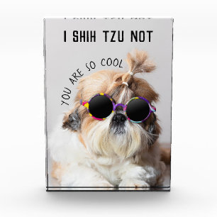 Bloque Para Fotos Shih Tzu No es divertido a los amantes de los perr
