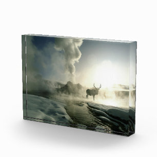 Bloque Para Fotos Silueta del amanecer de alces en Castle Geyser