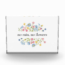 Sin lluvia, sin flores |