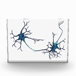 Bloque Para Fotos Sinapsis entre neuronas, neuronas neurocientíficas