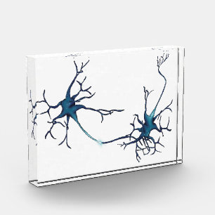 Bloque Para Fotos Sinapsis entre neuronas, neuronas neurocientíficas