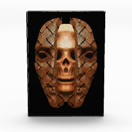 Bloque Para Fotos Skull Within: Dando a conocer la complejidad inter