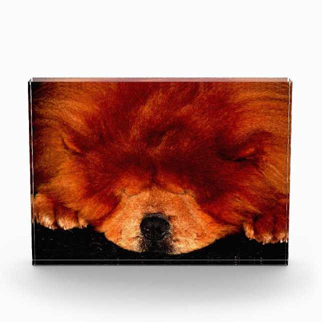 Bloque Para Fotos Sleeping Chow Chow Pbcnm (Anverso)