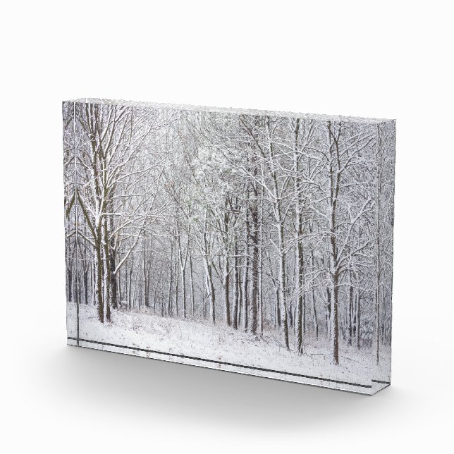 Bloque Para Fotos Snowy Woods (Derecha)