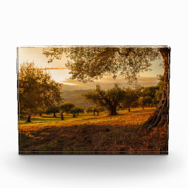 Bloque Para Fotos Sunset Hills Autumn Trees