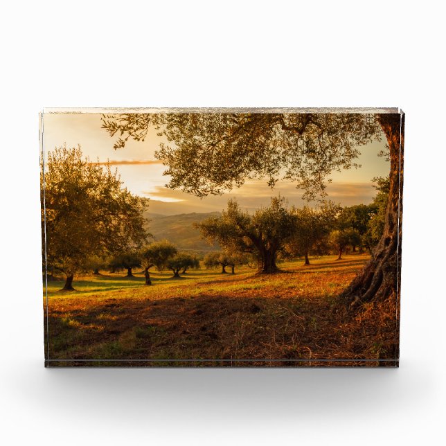 Bloque Para Fotos Sunset Hills Autumn Trees (Anverso)