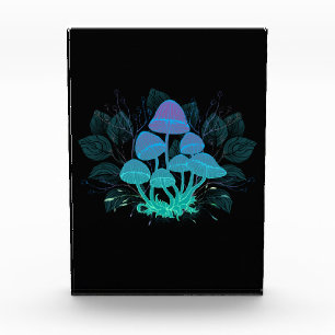 Bloque Para Fotos Toadstools en Bushes