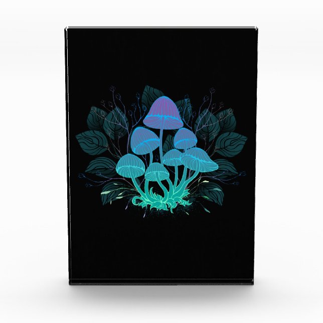 Bloque Para Fotos Toadstools en Bushes (Anverso)