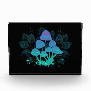 Bloque Para Fotos Toadstools en Bushes