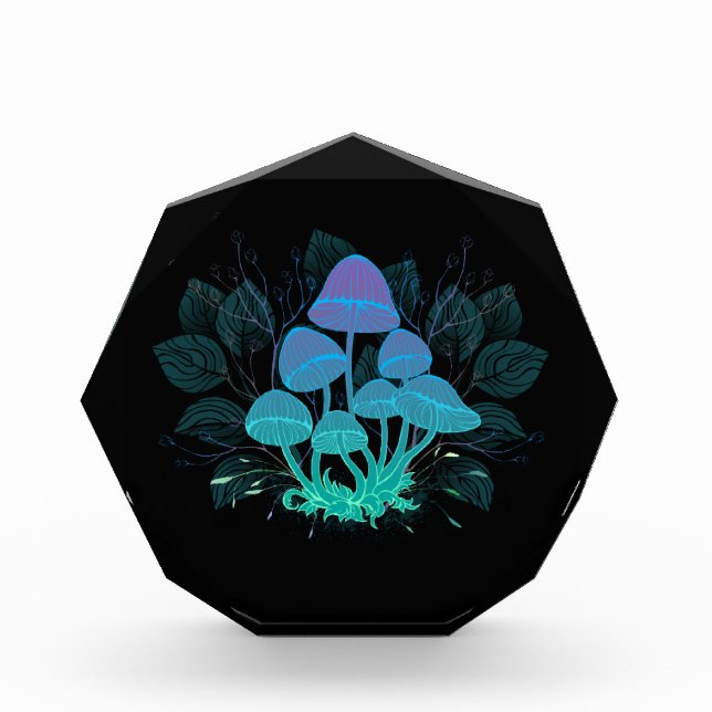 Bloque Para Fotos Toadstools en Bushes (Anverso)
