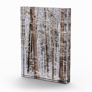 Bloque Para Fotos Tormenta de hielo en el bosque