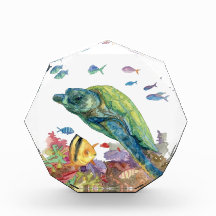 Tortuga y peces en el mar