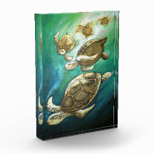 Tortugas Sunlight Swim