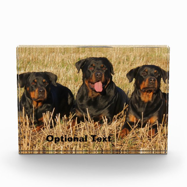 Bloque Para Fotos Tres perros Rottweiler - Paquete de rociones (Anverso)