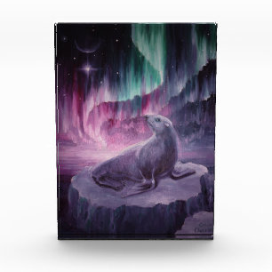 Bloque Para Fotos Triste solitario