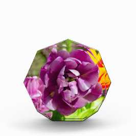 Bloque Para Fotos Tulipanes de Lilac en un día soleado