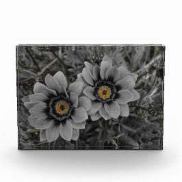 Bloque Para Fotos Two of a Kind