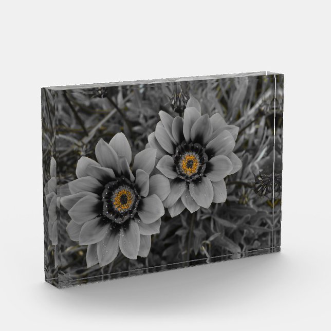 Bloque Para Fotos Two of a Kind (Izquierda)