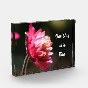 Bloque Para Fotos Un Día A La Vez Cita La Flor A La Luz Del Sol