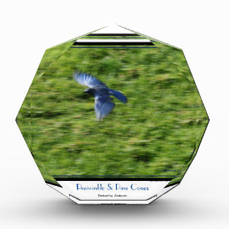 Bloque Para Fotos Un pájaro azul que se eleva sobre un campo verde.