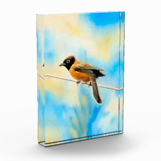 Bloque Para Fotos Un pájaro solitario y colorido