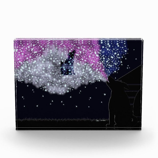 Bloque Para Fotos Una noche de verano con Sirius (Anverso)