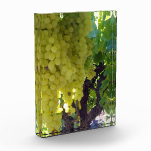 Bloque Para Fotos Uvas De Sultana En Un Vino De Uva,