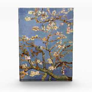 Bloque Para Fotos Van Gogh Almond Blossom