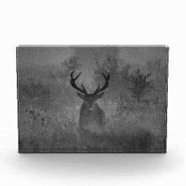 Bloque Para Fotos Venado En La Niebla