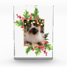 Verdor de Navidad en acuarela con poinsettia