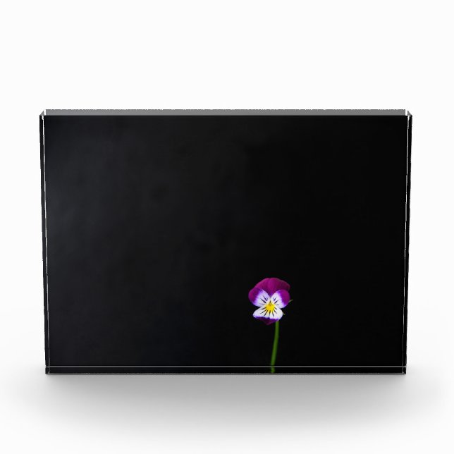 Bloque Para Fotos Violet Flower pbcna (Anverso)
