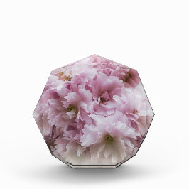 Bloque Para Fotos Volantes rosados