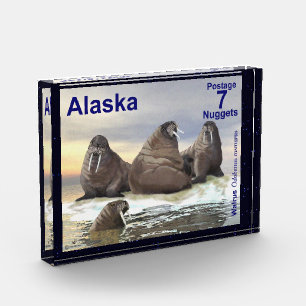 Bloque Para Fotos Walrus - Cuatro Hermanos - Poedador de Alaska