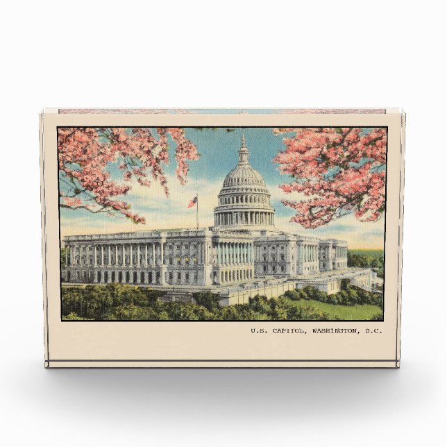 Bloque Para Fotos Washington DC Postcard US Capitol Cherry Blossoms (Anverso)