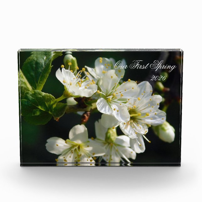 Bloque Para Fotos White Plum Blossom Macro | Personalized Photo Bloc (Anverso)
