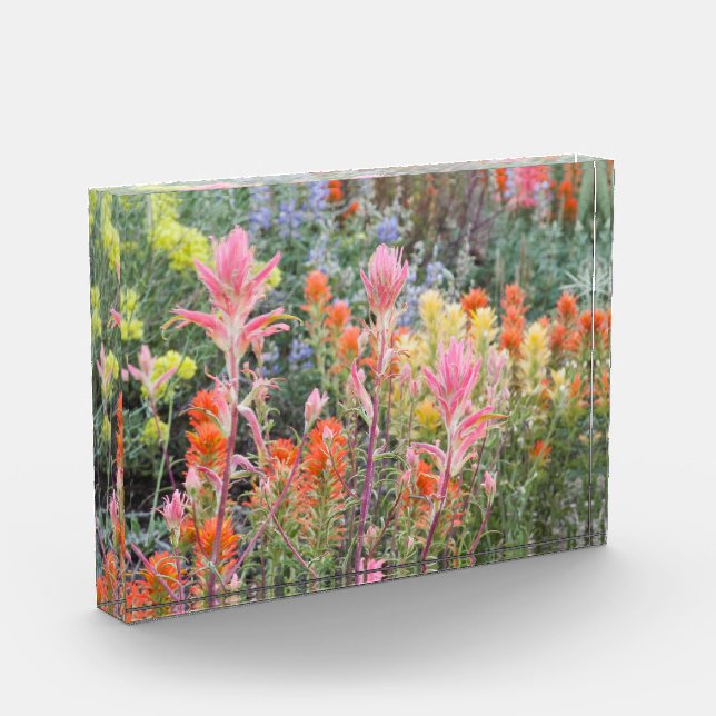 Bloque Para Fotos Wildflowers del suero de Sierra (Izquierda)