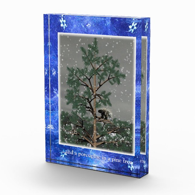 Bloque Para Fotos Y Un Porcupine En Un Árbol De Pino (Derecha)